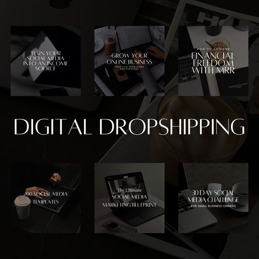 FFL Digital Dropshiping Course